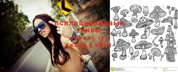 прущая мука Каменка
